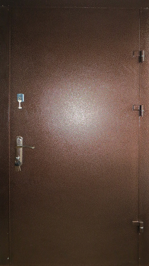двери технические покраска